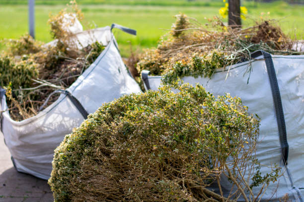 Best Yard Cleanup Services  in Good Hope, AL